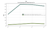 Lessee Operating Lease Liability Undiscounted Excess Amount