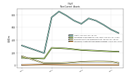 Intangible Assets Net Excluding Goodwill