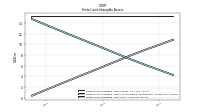 Finite Lived Intangible Assets Net