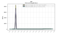 Finite Lived Intangible Assets Net