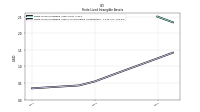 Finite Lived Intangible Assets Accumulated Amortization