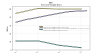 Finite Lived Intangible Assets Net