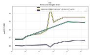 Finite Lived Intangible Assets Accumulated Amortization