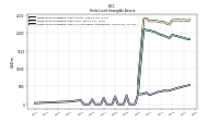 Finite Lived Intangible Assets Accumulated Amortization