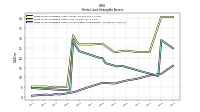 Finite Lived Intangible Assets Accumulated Amortization