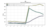 Finite Lived Intangible Assets Accumulated Amortization